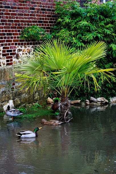 Boucherie Deshoulles, Boucherie à La Rivière-Saint-Sauveur