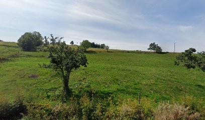Remy Familles, Boucherie à Girmont-Val-d'Ajol