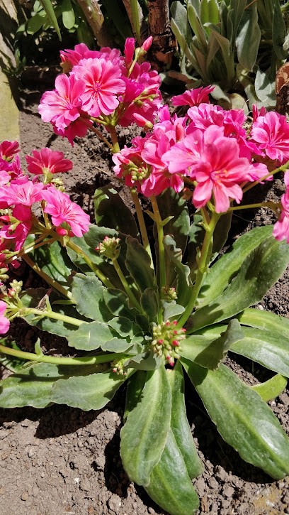 Les Gourmets Du Velay, Boucherie à Saint-Didier-en-Velay