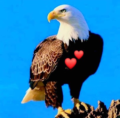 Boucherie Atlas (Halal Maroc), Boucherie à Châteauroux