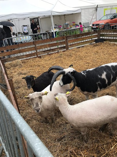 Boucherie Charcuterie Rôtisserie Alimentation, Boucherie à Roubaix