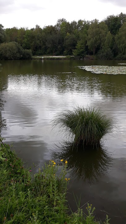 Boucherie Istace Bruno, Boucherie à Sedan