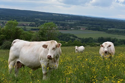 EARL Ferry Michel, Boucherie à Charigny