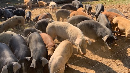 La Ferme de Dront (Boutique), Charcuterie à Anost